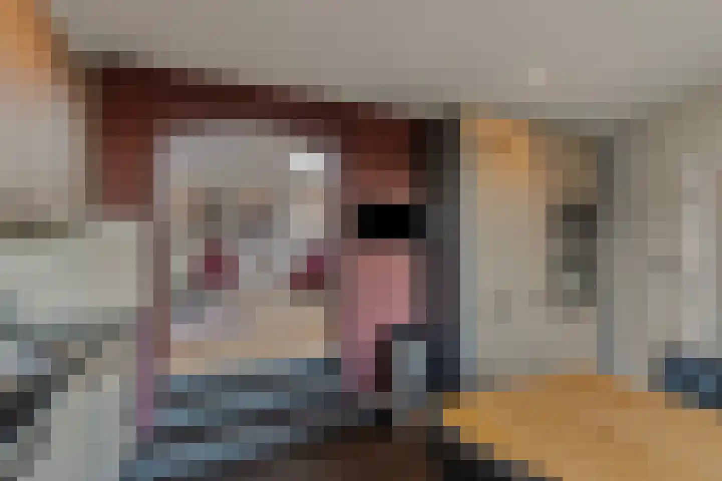 Schoolstraat 1 a Strijen thumbnail 15