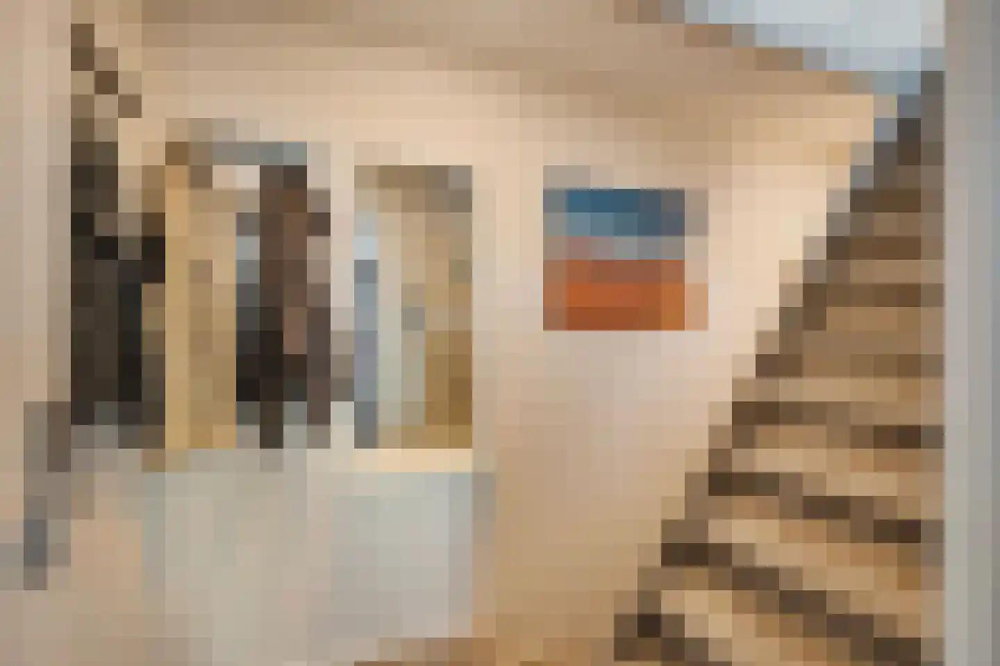 Schoolstraat 1 a Strijen thumbnail 23