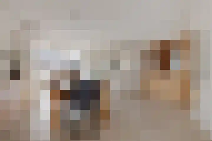 Schoolstraat 1 a Strijen thumbnail 26