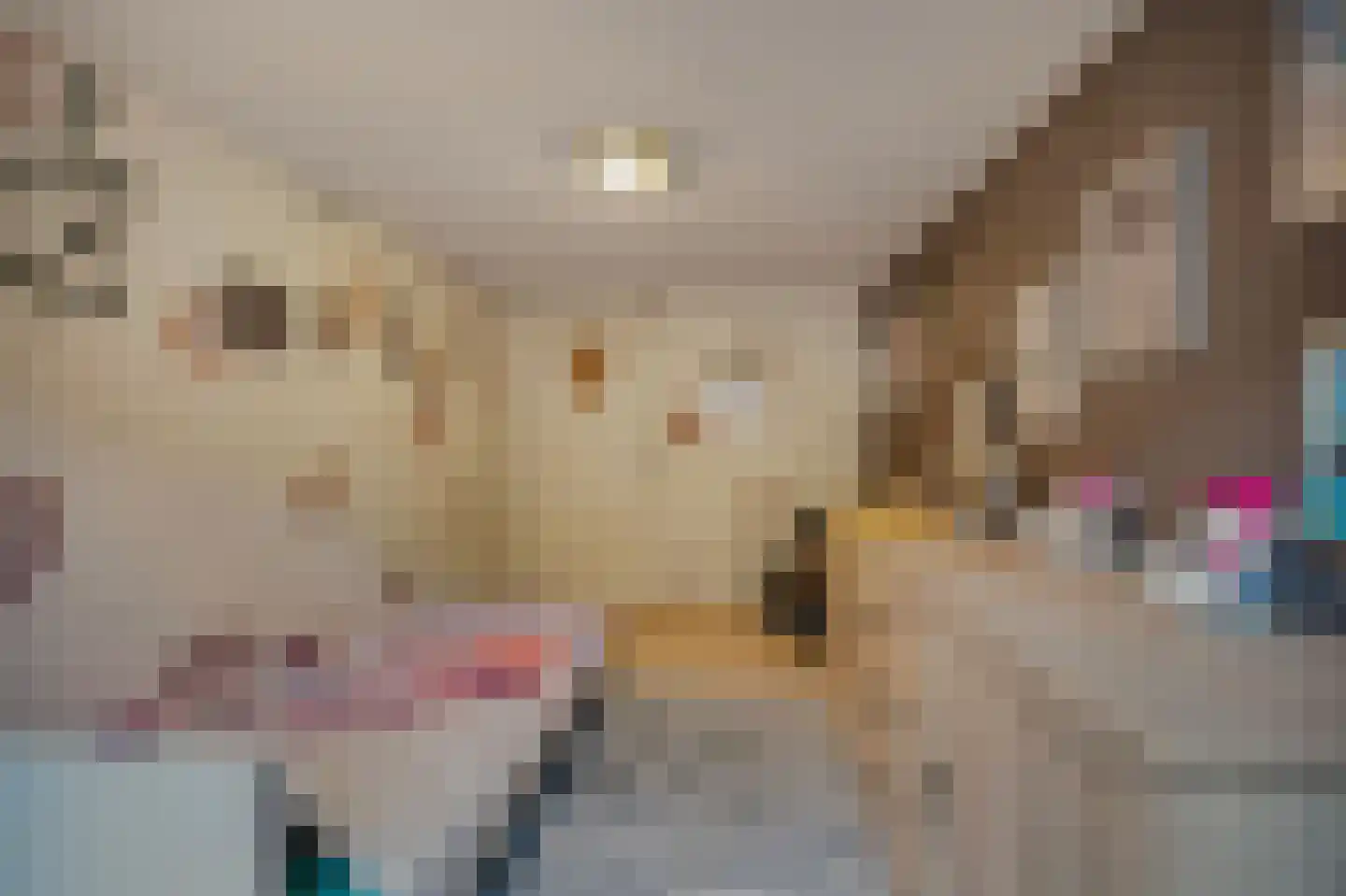Schoolstraat 1 a Strijen thumbnail 27