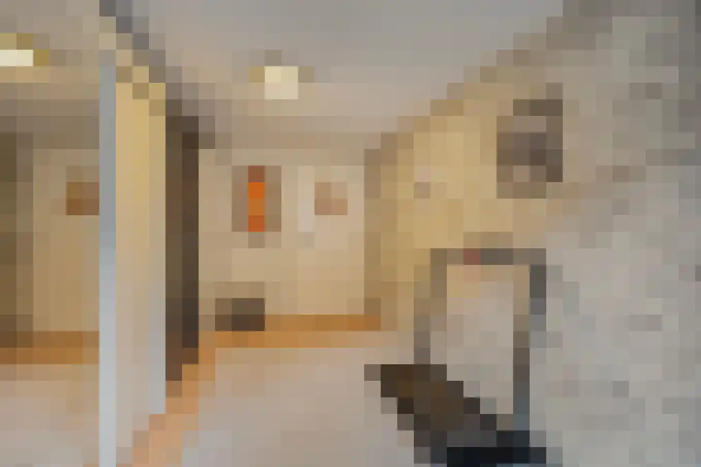 Schoolstraat 1 a Strijen thumbnail 29