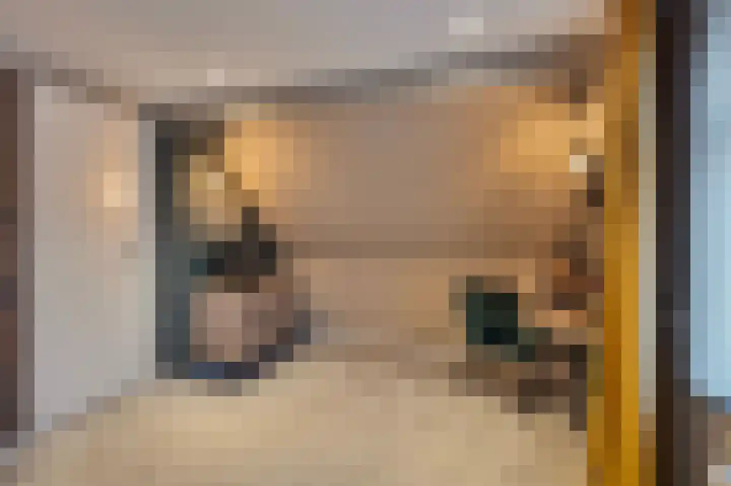 Schoolstraat 1 a Strijen thumbnail 33