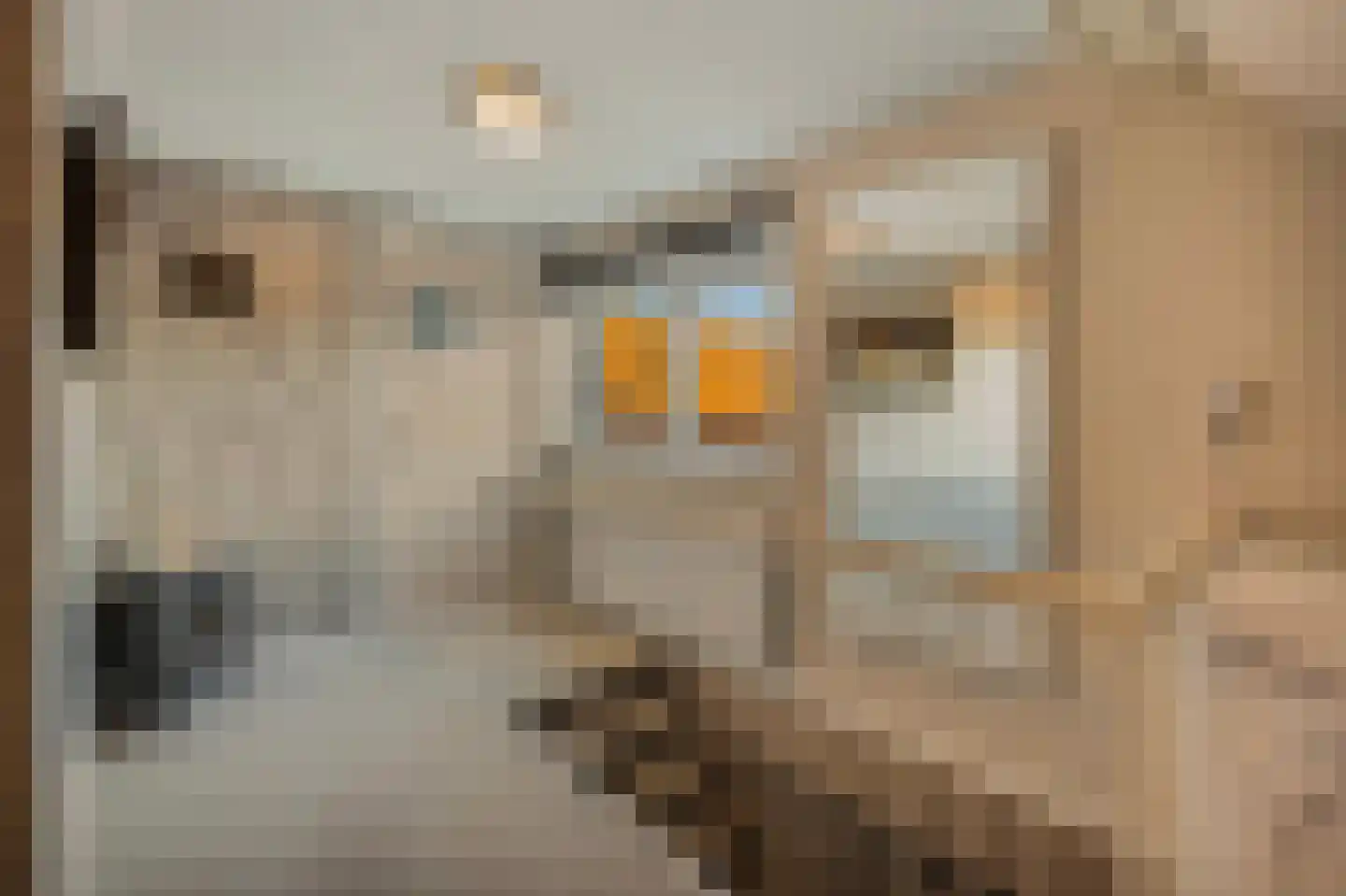 Schoolstraat 1 a Strijen thumbnail 35
