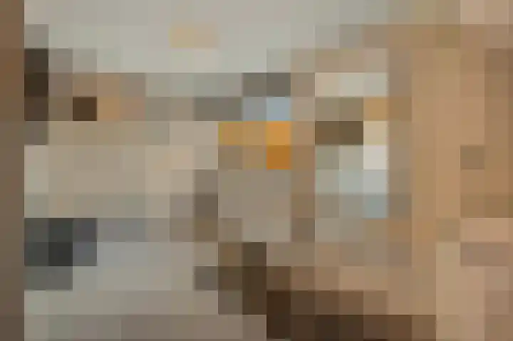 Schoolstraat 1 a Strijen thumbnail 35