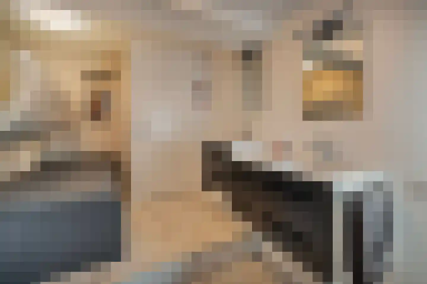 Schoolstraat 1 a Strijen thumbnail 36