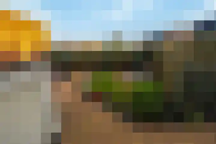 Schoolstraat 1 a Strijen thumbnail 43