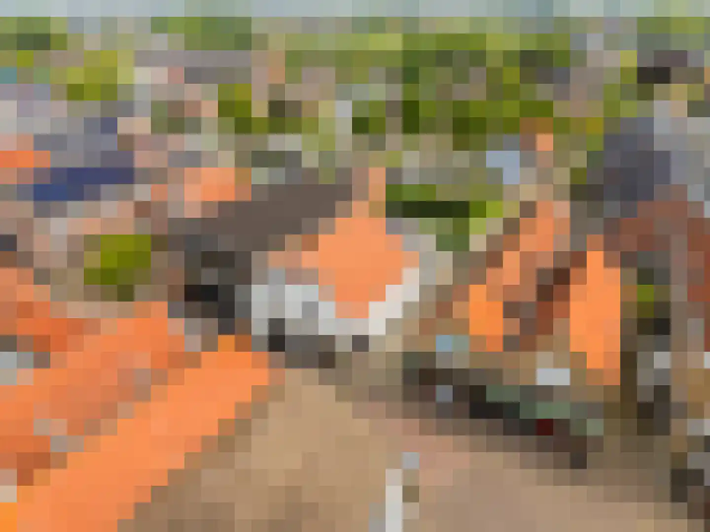 Schoolstraat 1 a Strijen thumbnail 44