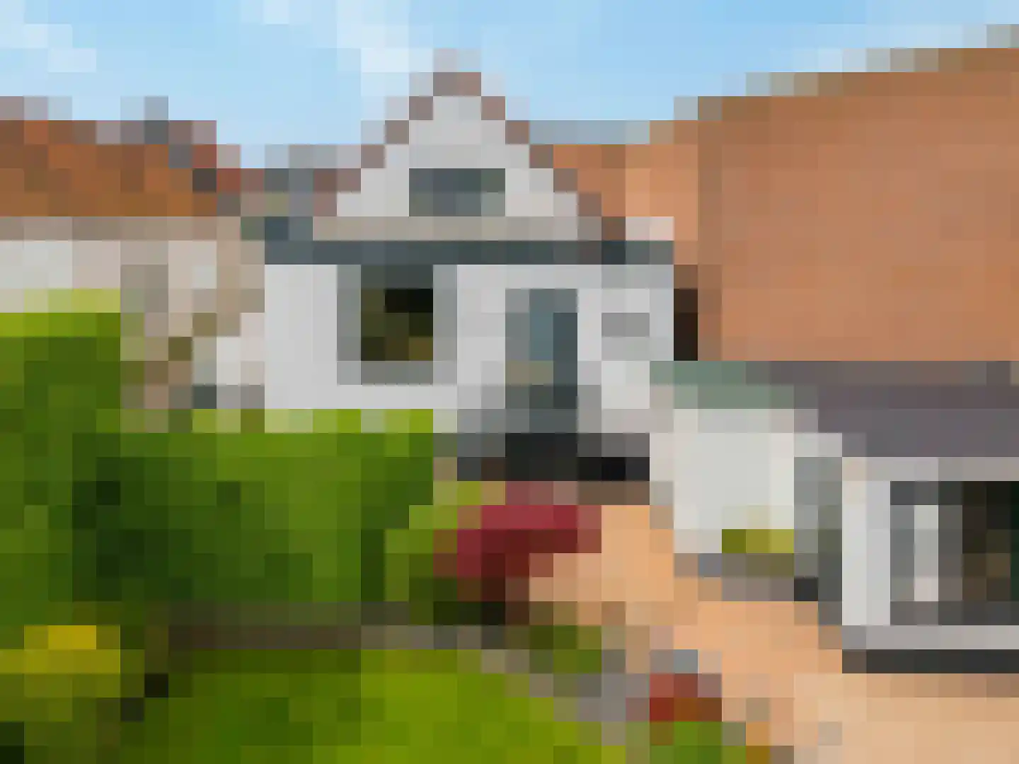 Schoolstraat 1 a Strijen thumbnail 45
