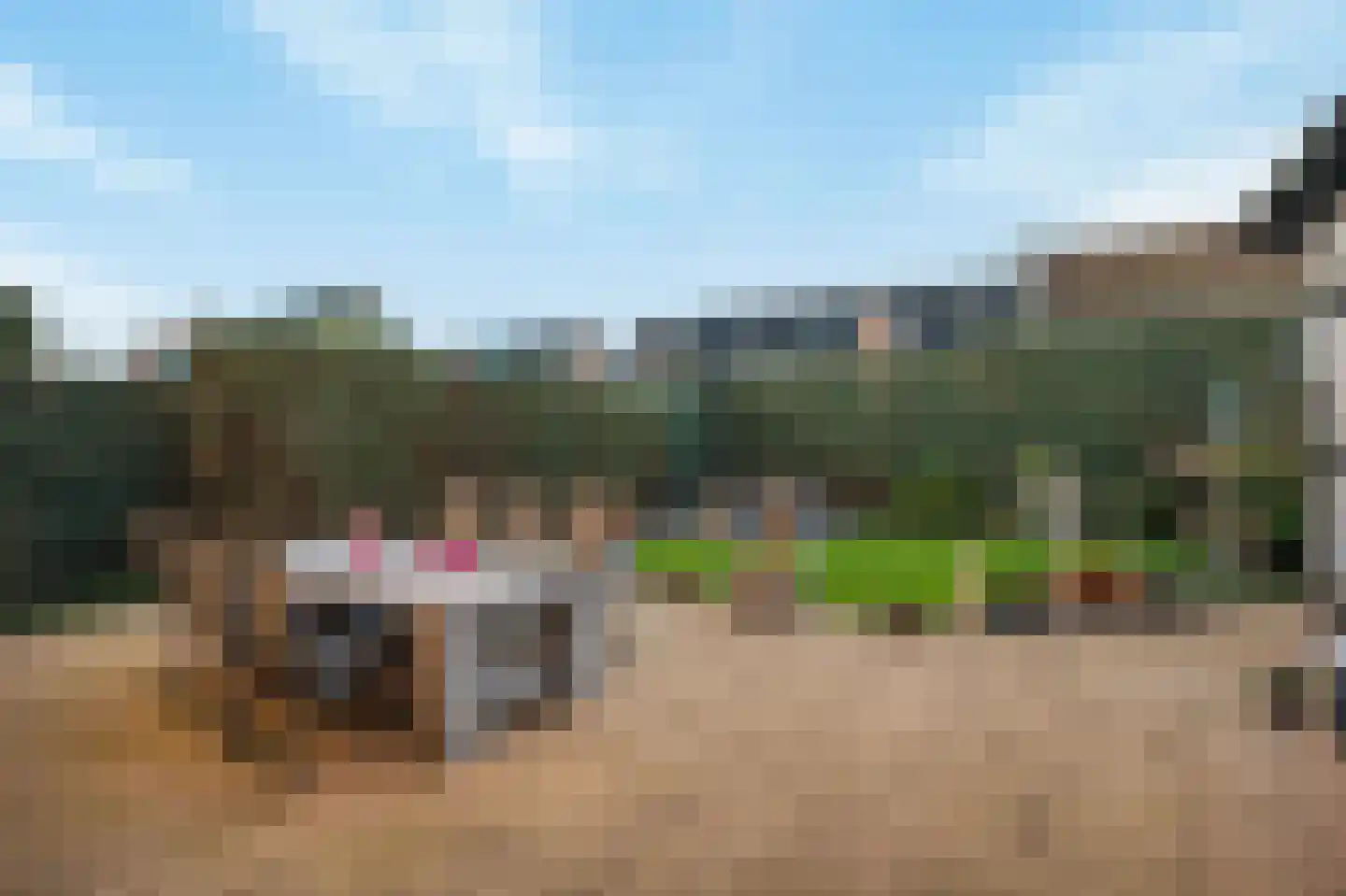 Schoolstraat 1 a Strijen thumbnail 45