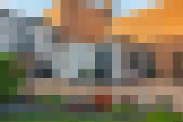 Schoolstraat 1 a Strijen thumbnail 50