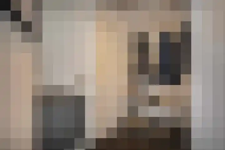 Schoolstraat 1 a Strijen thumbnail 6