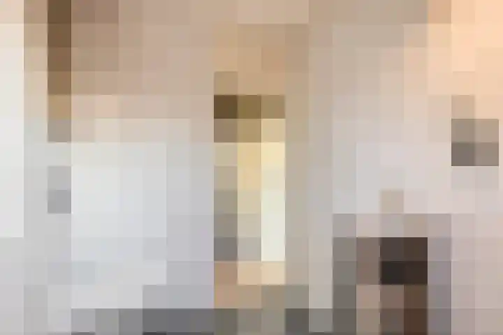 Schoolstraat 1 a Strijen thumbnail 85