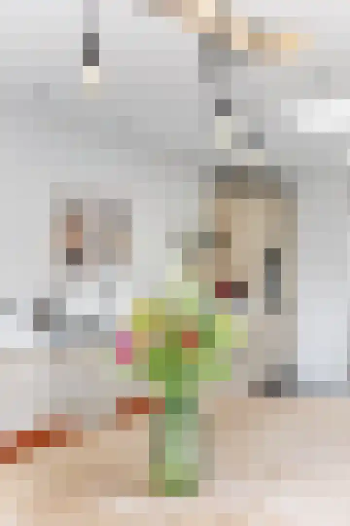 Schoolstraat 1 Aagtekerke thumbnail 19