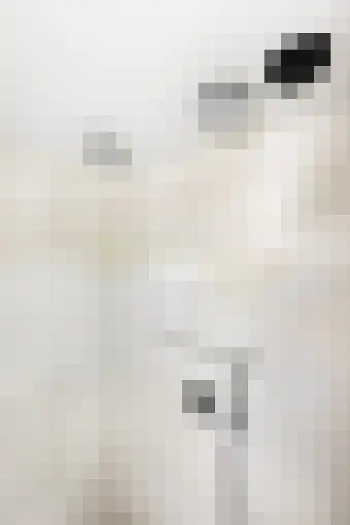 Schoolstraat 1 Aagtekerke thumbnail 33