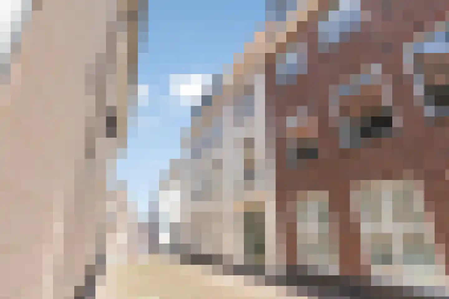 Schoolstraat 1 e Bergen op Zoom thumbnail 25