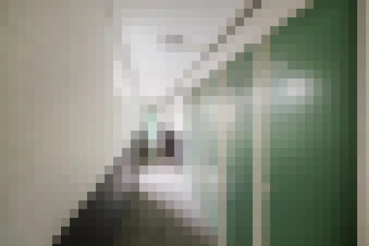 Schoolstraat 1 F 33 Deventer thumbnail 34