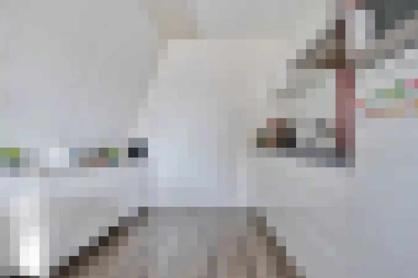 Schoolstraat 1 f Bergen op Zoom thumbnail 4