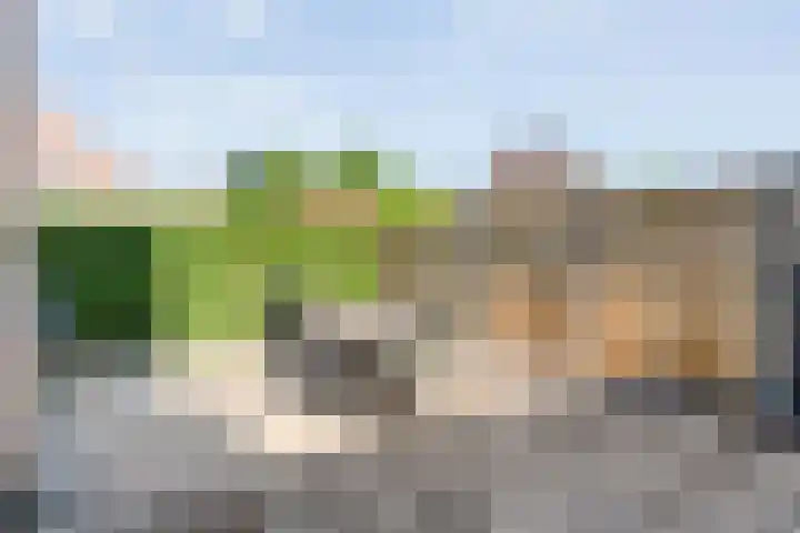 Schoolstraat 1 Heino thumbnail 27