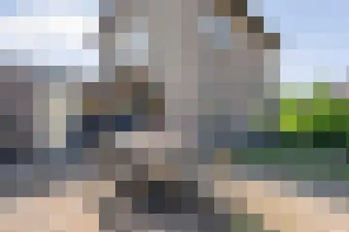 Schoolstraat 1 Heino thumbnail 29