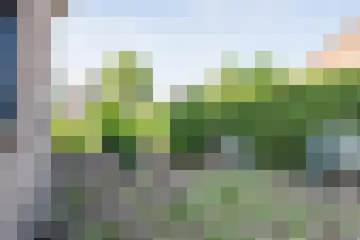 Schoolstraat 1 Heino thumbnail 30