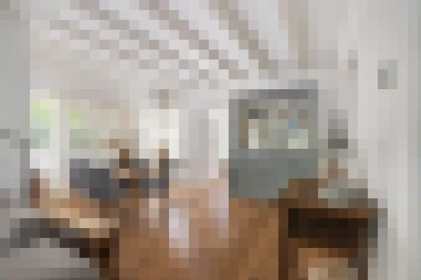 Schoolstraat 1 Krimpen aan de Lek thumbnail 10