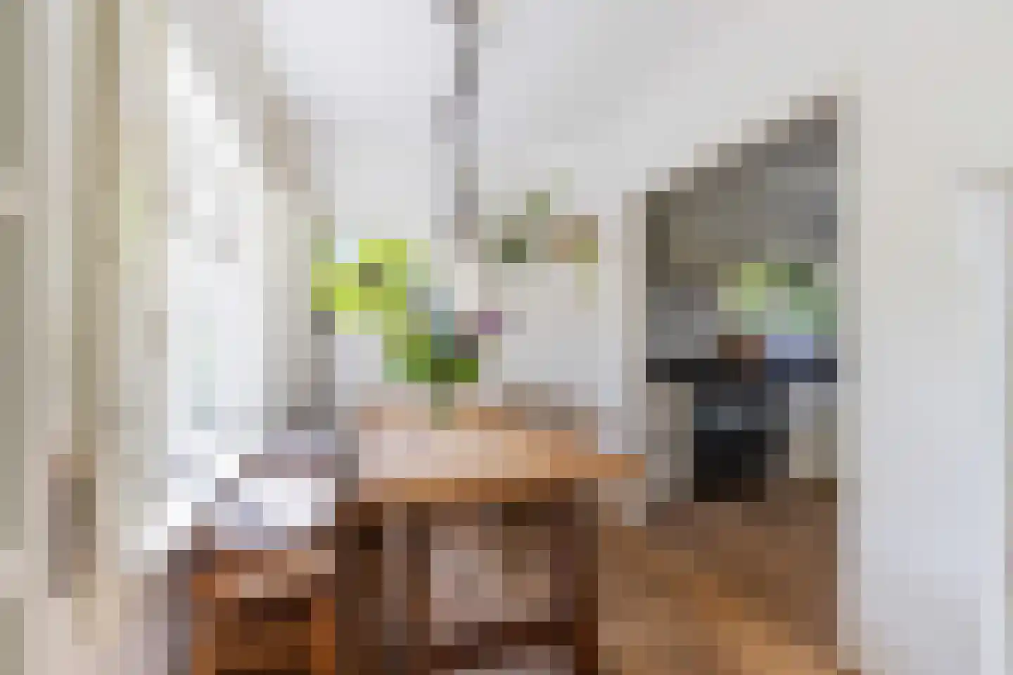 Schoolstraat 1 Krimpen aan de Lek thumbnail 13