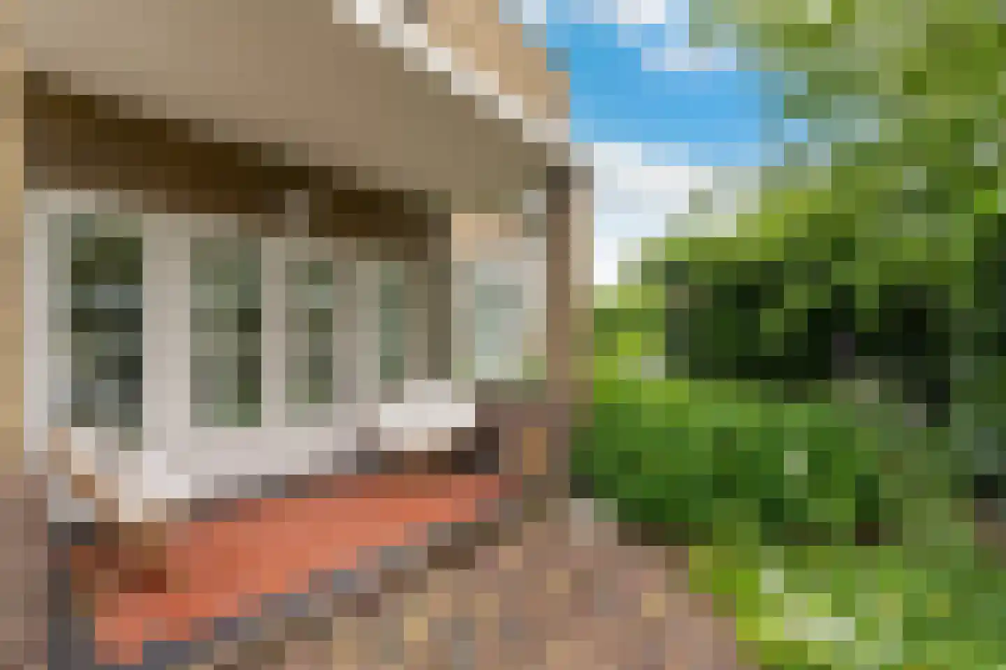 Schoolstraat 1 Krimpen aan de Lek thumbnail 16