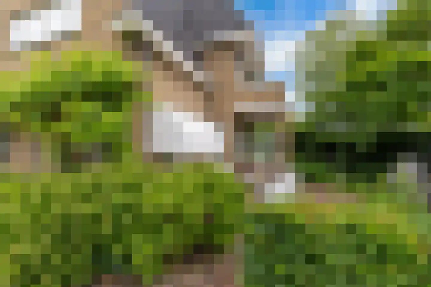 Schoolstraat 1 Krimpen aan de Lek thumbnail 23