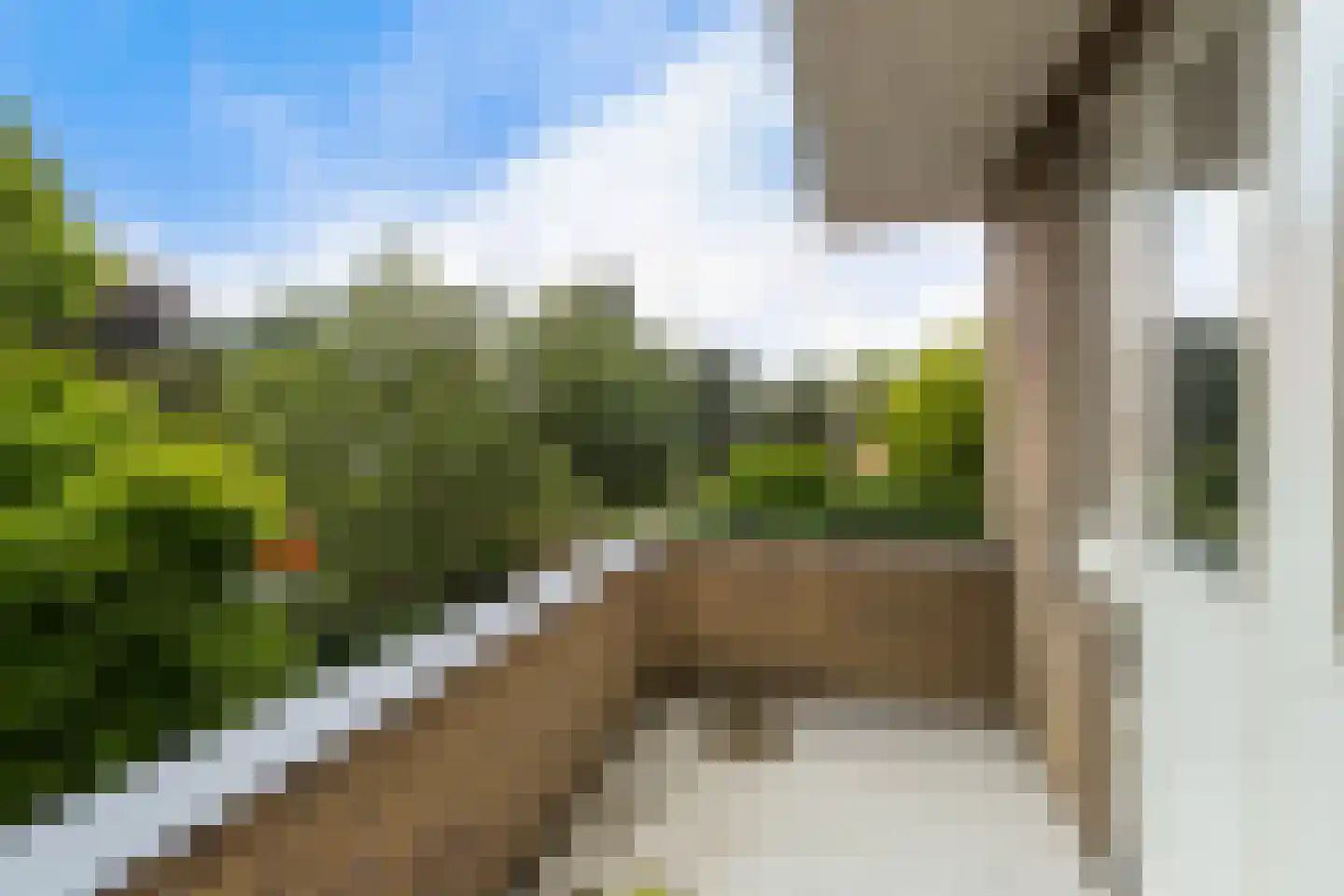 Schoolstraat 1 Krimpen aan de Lek thumbnail 32