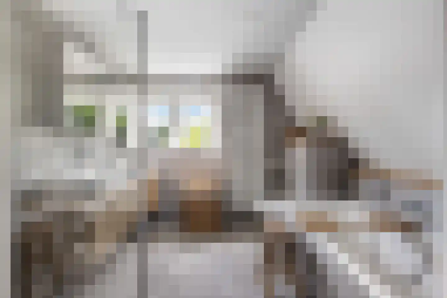 Schoolstraat 1 Krimpen aan de Lek thumbnail 40