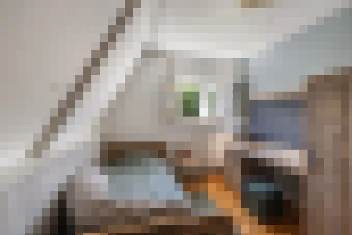 Schoolstraat 1 Krimpen aan de Lek thumbnail 45