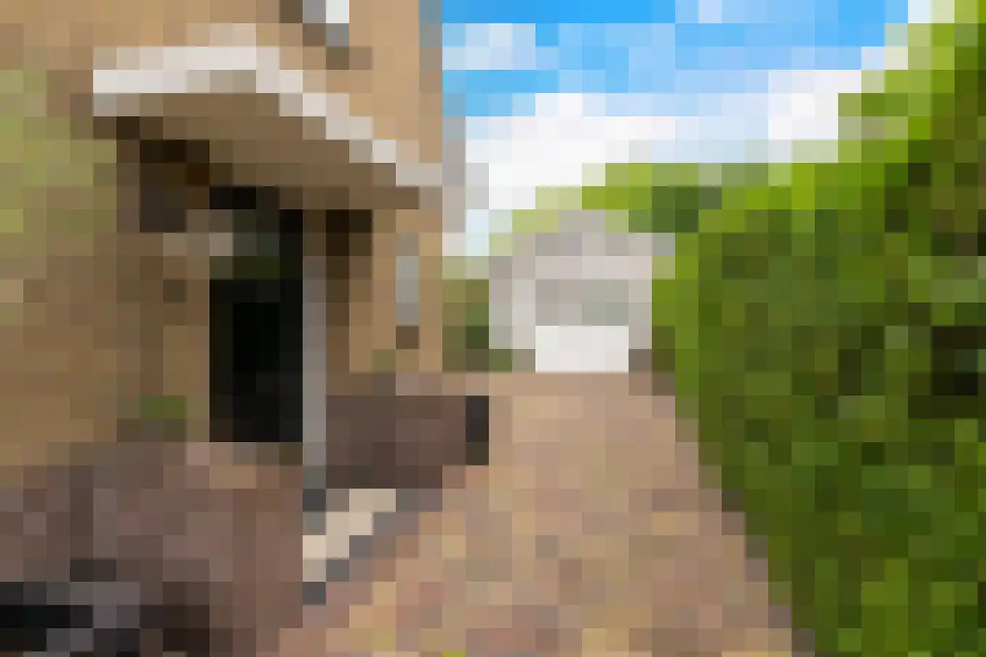 Schoolstraat 1 Krimpen aan de Lek thumbnail 56
