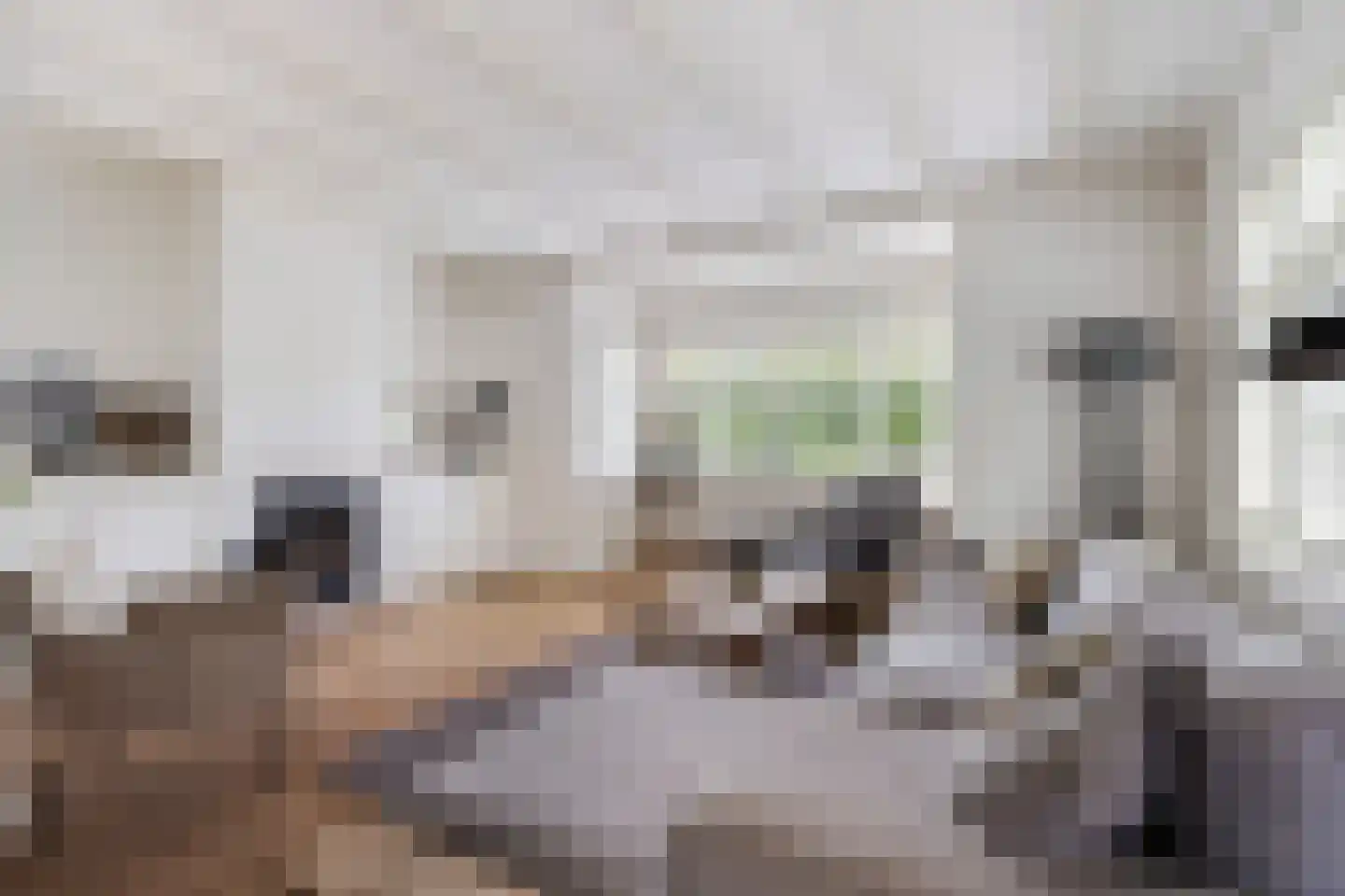 Schoolstraat 1 Krimpen aan de Lek thumbnail 7