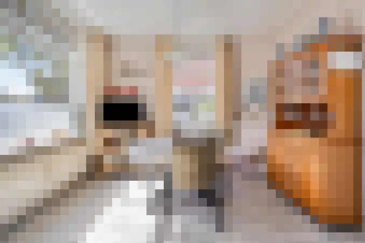 Schoolstraat 1 Nieuwolda thumbnail 16