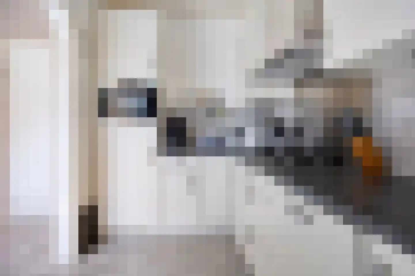 Schoolstraat 1 Nieuwolda thumbnail 18