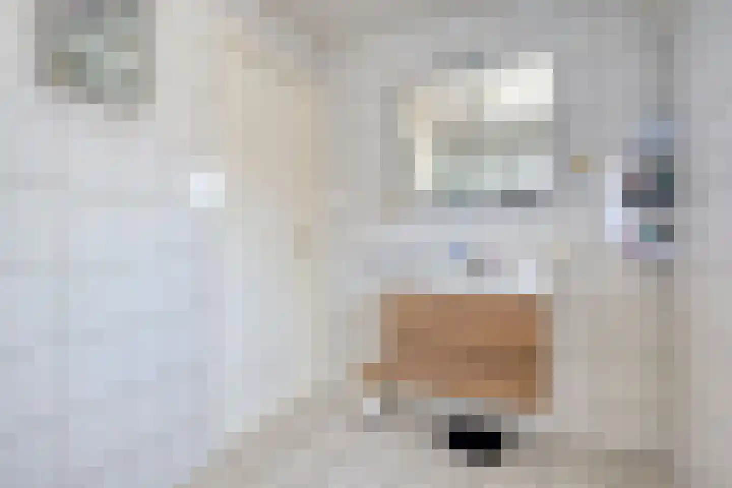 Schoolstraat 1 Nieuwolda thumbnail 27