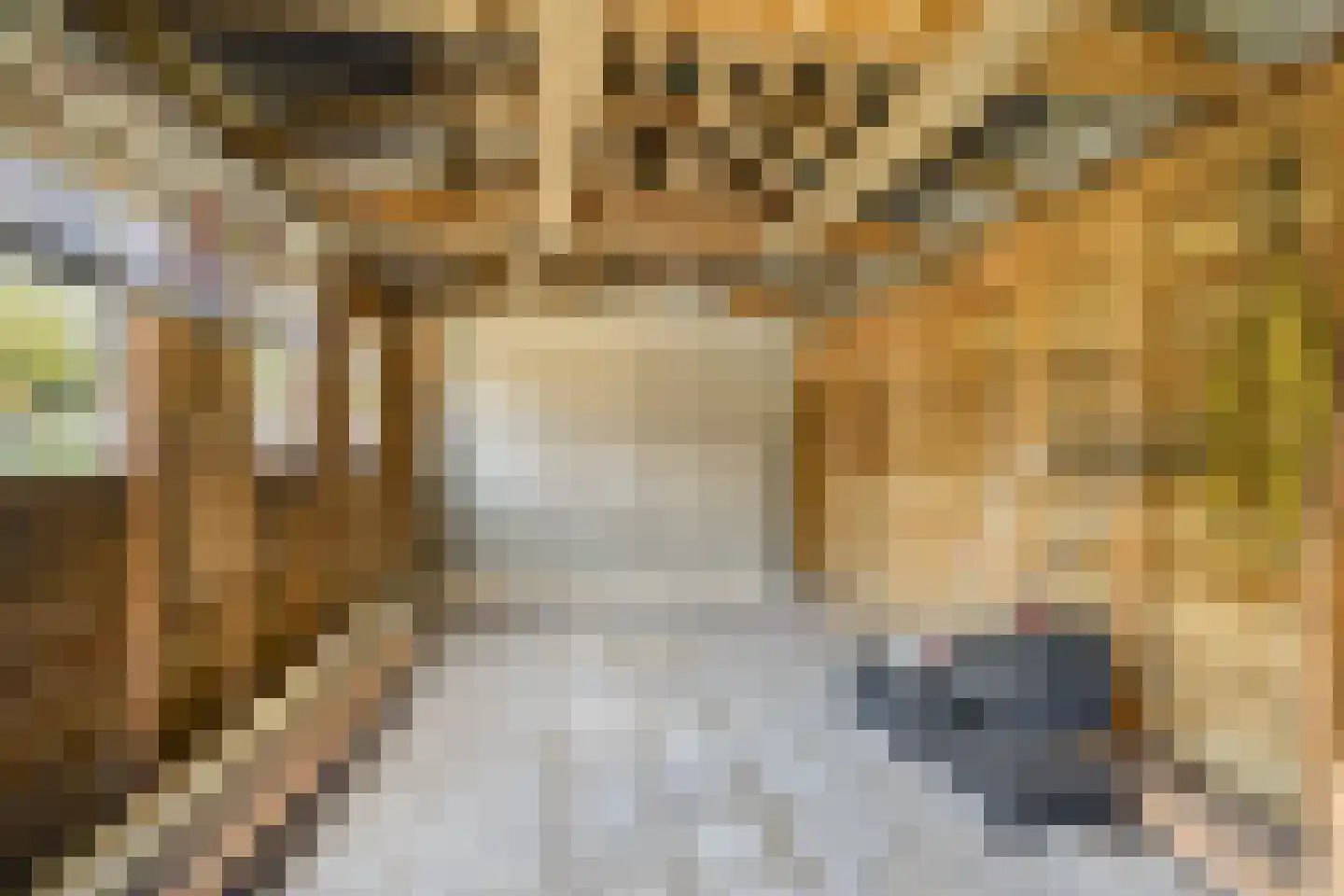 Schoolstraat 1 Nieuwolda thumbnail 33