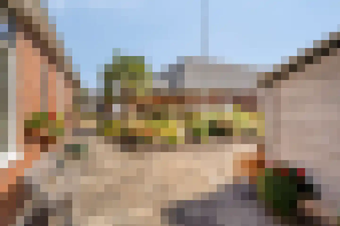 Schoolstraat 1 Nieuwolda thumbnail 39