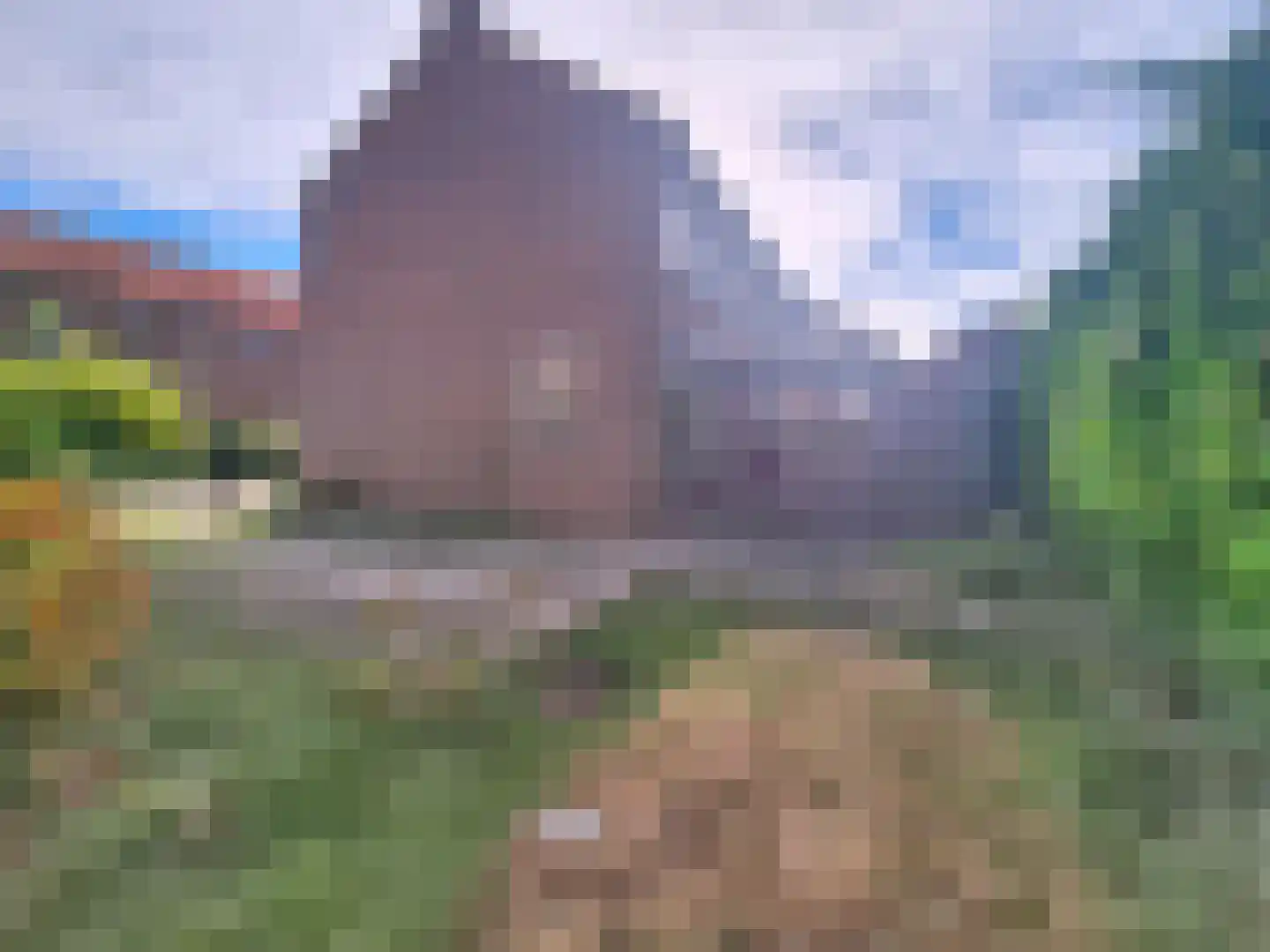 Schoolstraat 1 Rijnsaterwoude thumbnail 10