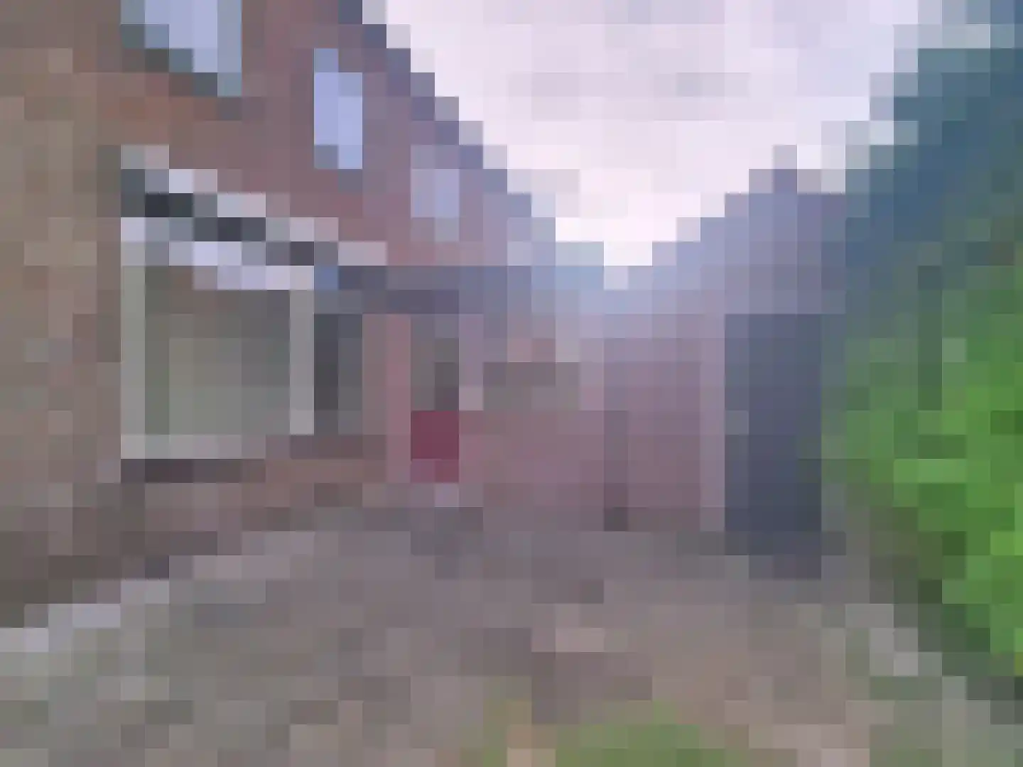 Schoolstraat 1 Rijnsaterwoude thumbnail 11