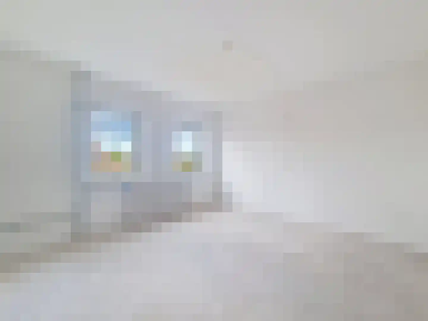 Schoolstraat 1 Rijnsaterwoude thumbnail 15