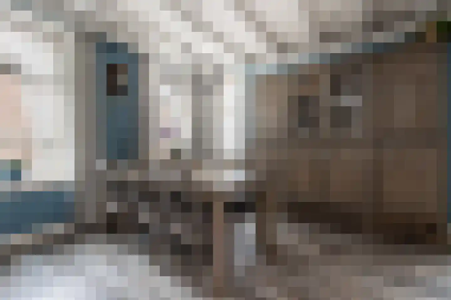 Schoolstraat 1 Rossum thumbnail 11