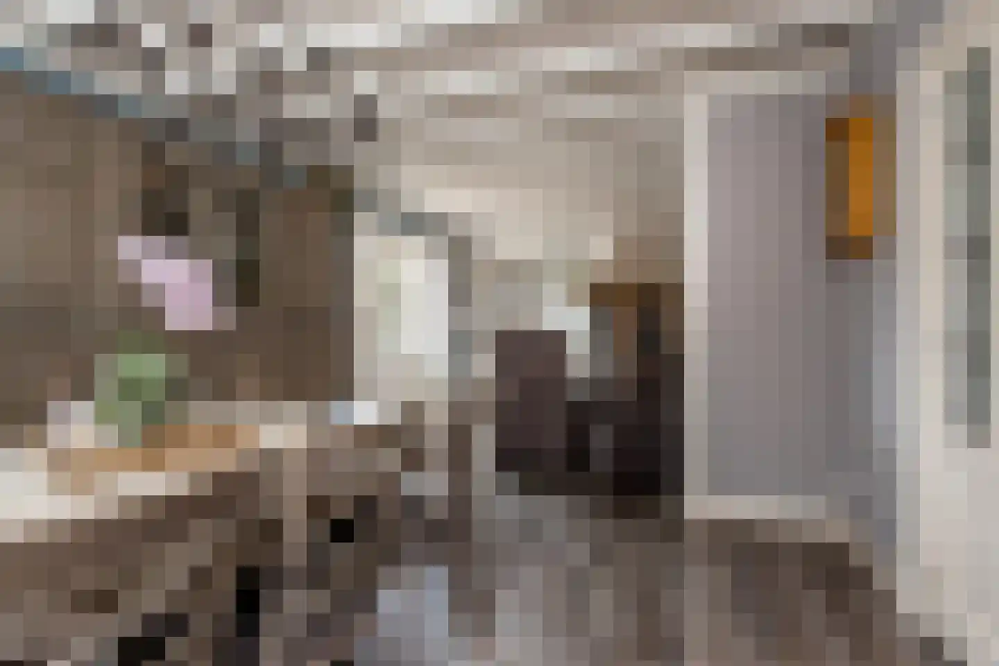 Schoolstraat 1 Rossum thumbnail 12