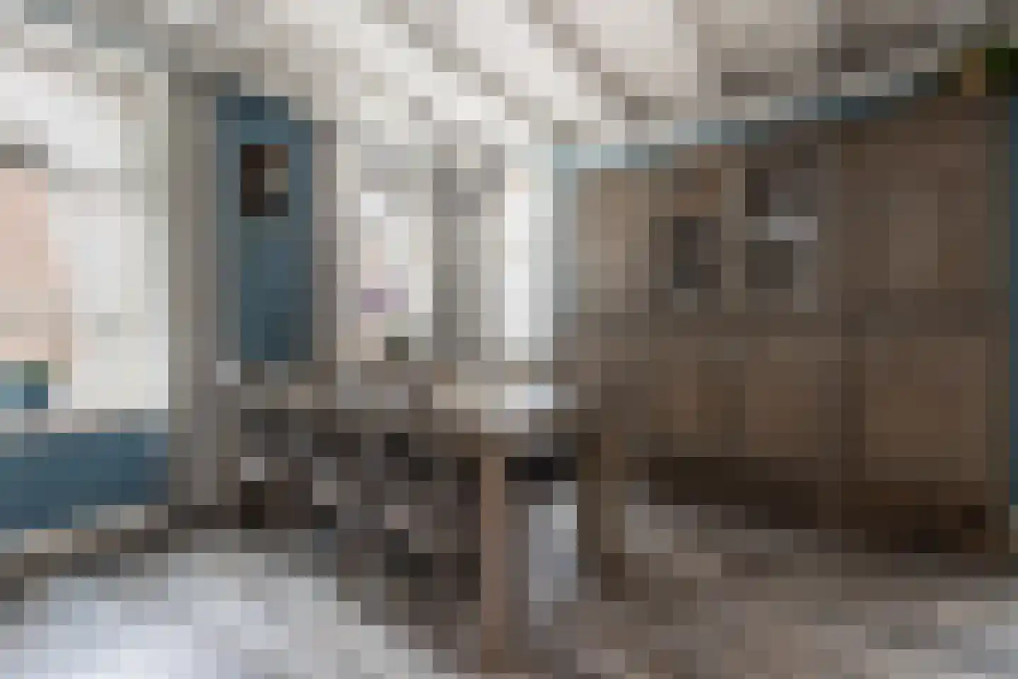 Schoolstraat 1 Rossum thumbnail 13
