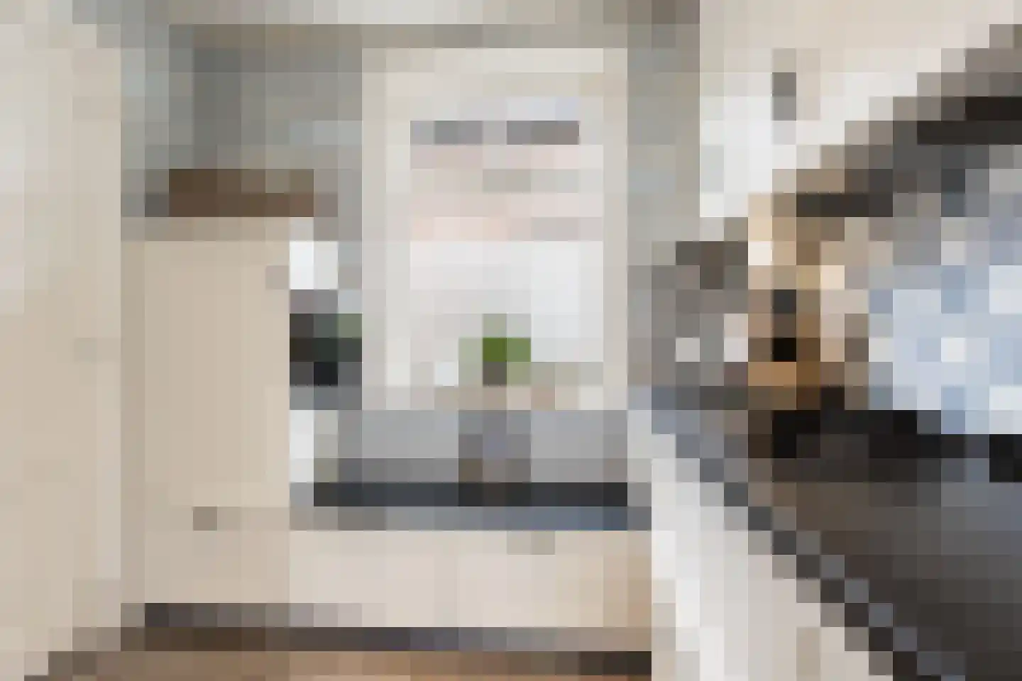 Schoolstraat 1 Rossum thumbnail 15