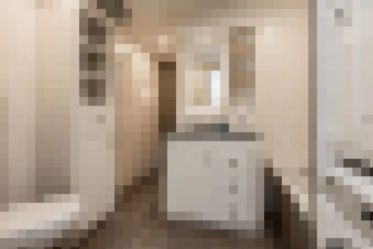 Schoolstraat 1 Rossum thumbnail 19