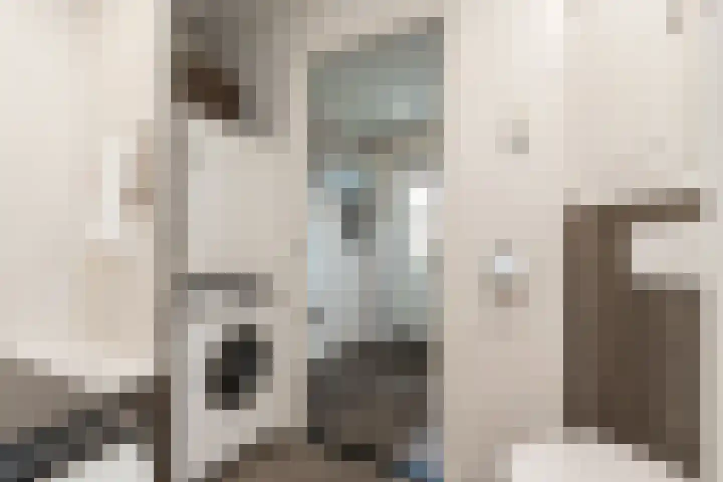 Schoolstraat 1 Rossum thumbnail 22