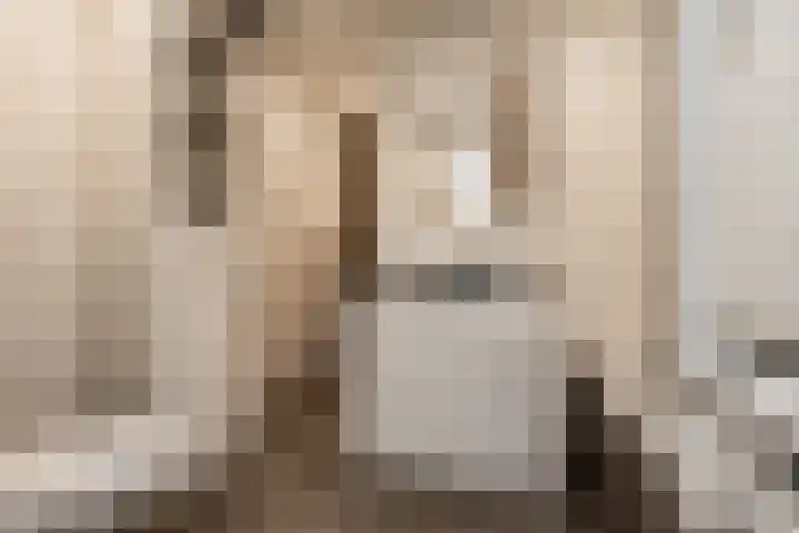 Schoolstraat 1 Rossum thumbnail 22