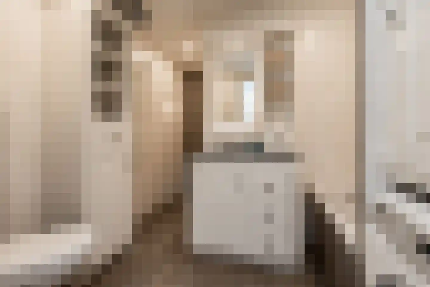 Schoolstraat 1 Rossum thumbnail 22
