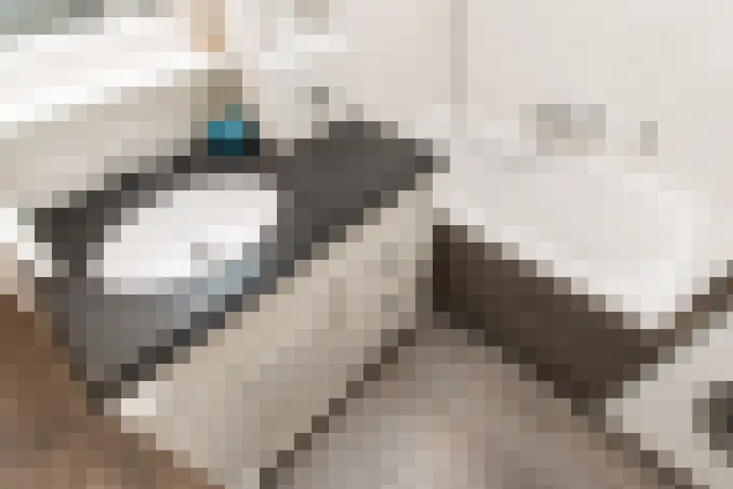 Schoolstraat 1 Rossum thumbnail 23